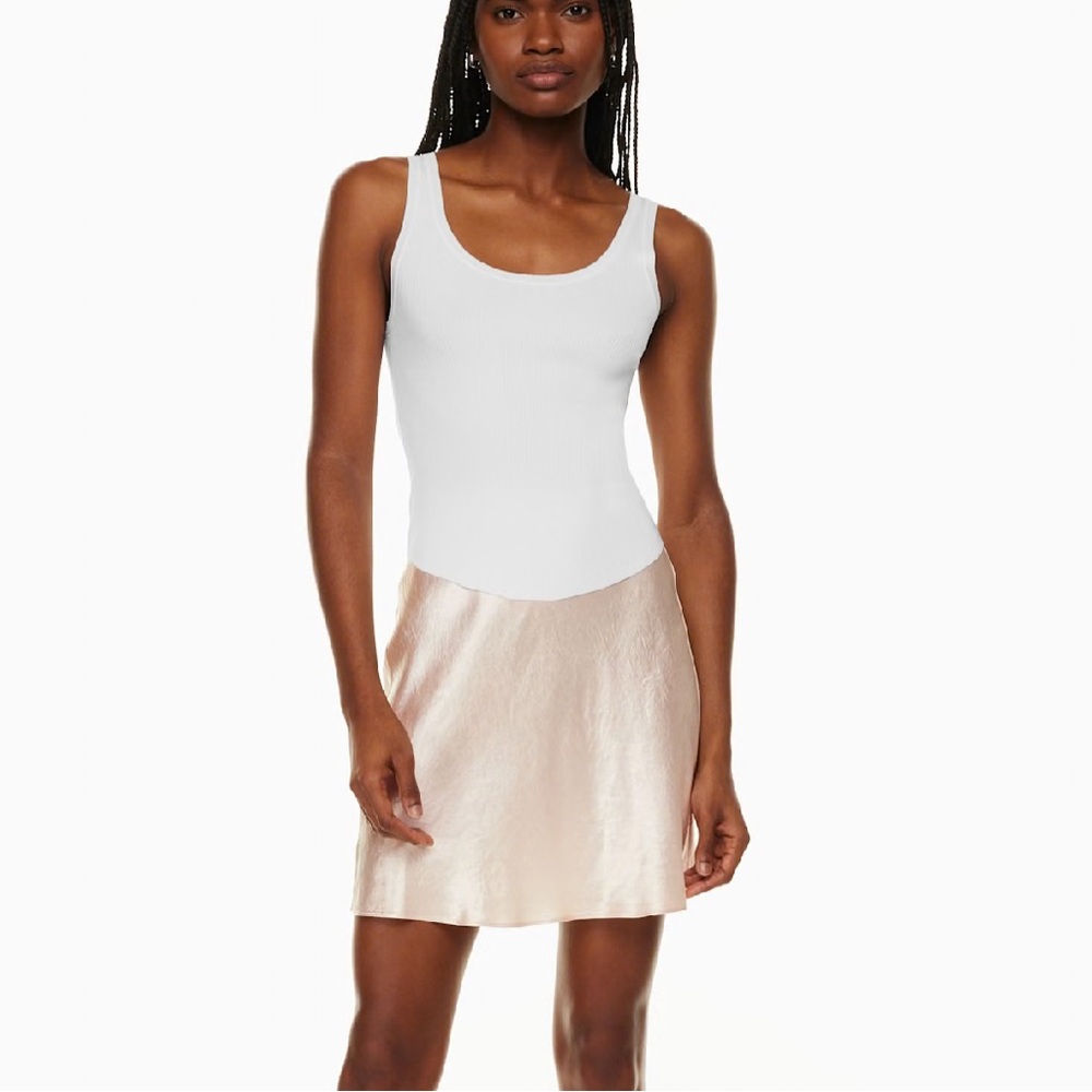 Aritzia Babaton Slip Mini Skirt